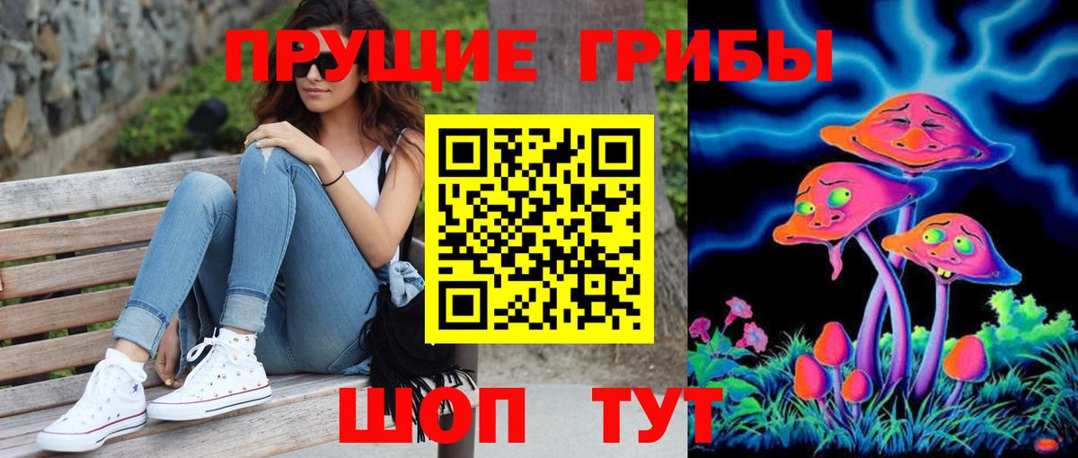купить наркотик  Галлюциногенные грибы Magic Shrooms  Галлюциногенные грибы Cubensis  Вход с VPN  Сегежа 
