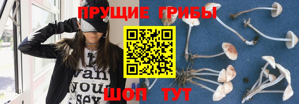 Псилоцибиновые грибы мухоморы Сегежа